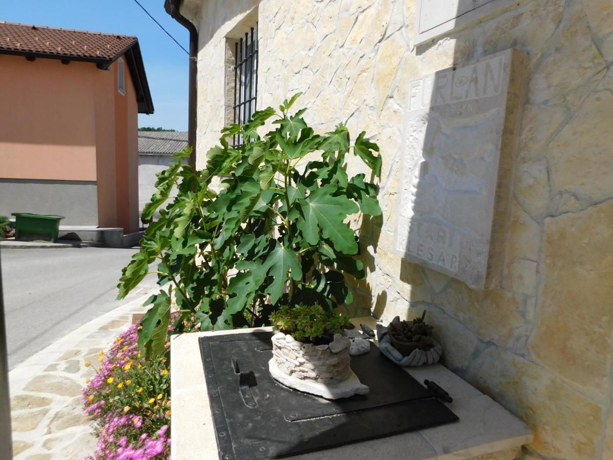 Kamnita Hisa Stari Klesar Villa Ilirska Bistrica ภายนอก รูปภาพ